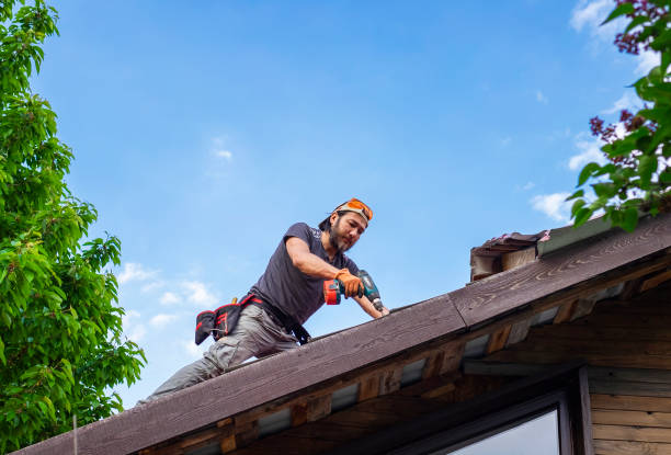 Best Roof Leak Repair  in The Pinery, CO