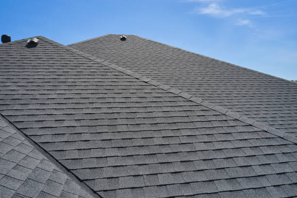 Best Roof Maintenance and Cleaning  in The Pinery, CO